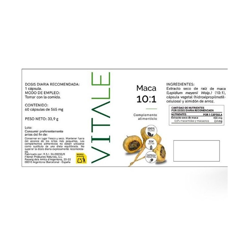Maca 10:1 - Etiqueta